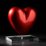 Collection Coups de Coeurs