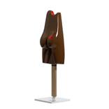Collection Lolli & popsicle