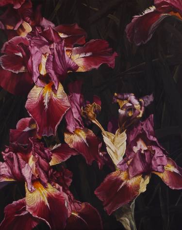 Print of Figurative Floral Paintings by Bert Van Zelm