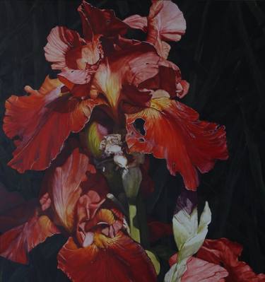 Print of Fine Art Floral Paintings by Bert Van Zelm