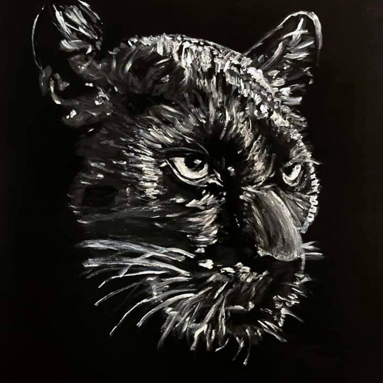 Black panther Prints - Black panther Photos For Sale