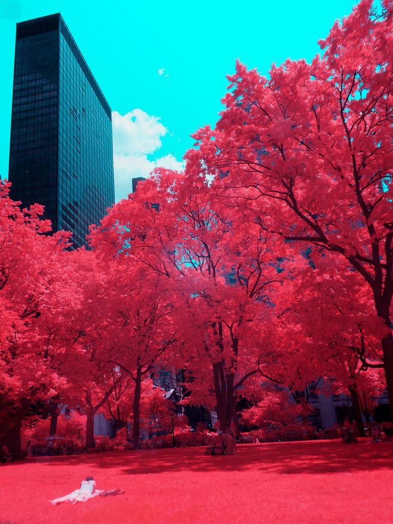 Original Landscape Photography by Man Sumarni | Contemporary Art on Paper | Christine's World - 21st Century Version