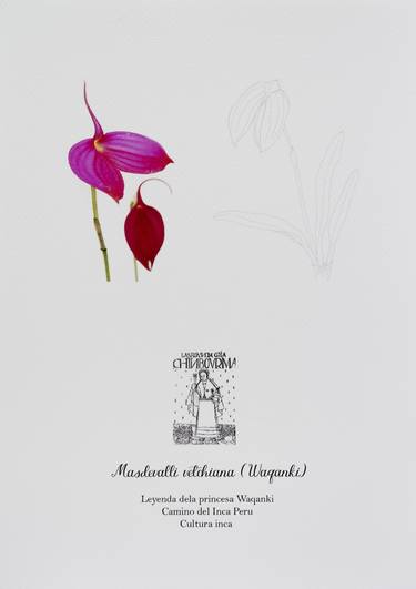 Original Conceptual Botanic Printmaking by MONICA MILLER