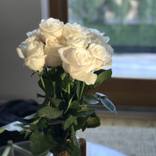 White Rose by Lars Carlson