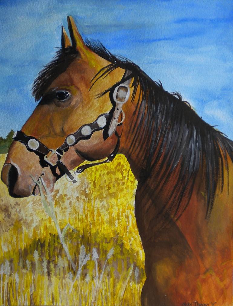 Tonto Painting by Mary Thompson | Saatchi Art