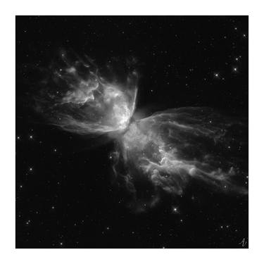 Butterfly Nebula - Limited Edition 5 of 5 thumb