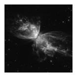 Butterfly Nebula - Limited Edition 5 of 5 by Art Vandelay