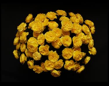 Yellow Blossom 2 - Limited Edition of 10 thumb