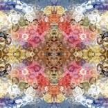Collection Kaleidoscopics #1