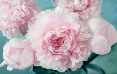 Print of Fine Art Floral Photography by Athol Lewis