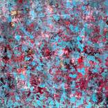 Blossoms 1 by Stephen Schubert