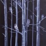 Collection 16 Ones to Watch