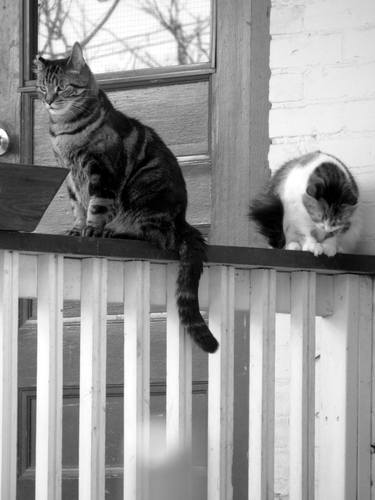 Original Fine Art Abstract Photography by Linda Arthurs