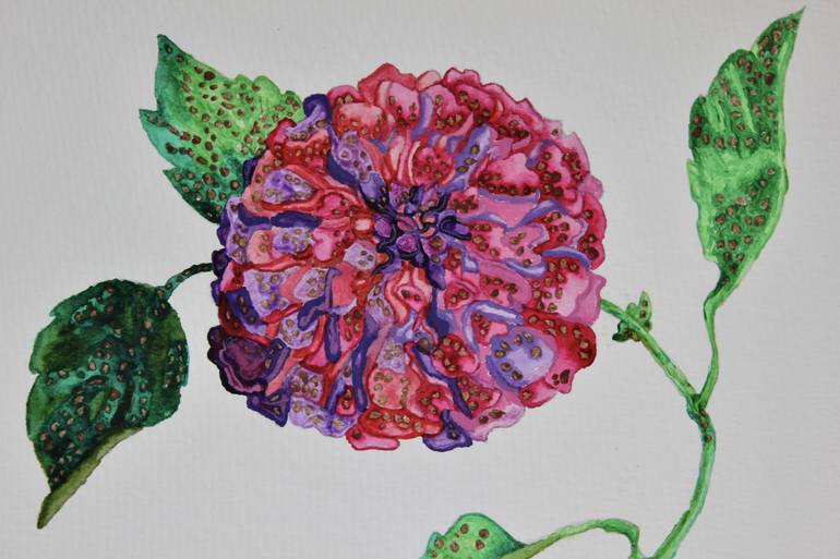 Original Botanic Painting by Freya Laetitia Stinton