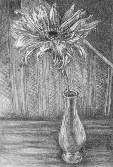 Floral Drawing with Charcoal and Graphite Sticks Drawing by Mobeen Jaffri