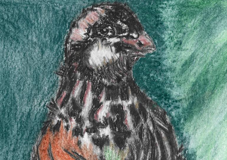 Original Abstract Expressionism Animal Drawing by Freya Laetitia Stinton