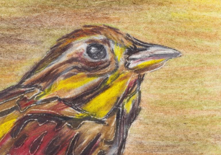 Original Abstract Animal Drawing by Freya Laetitia Stinton