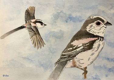 Long-Tailed Tits. (Pre-selected for the Mall Gallery) thumb