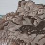 Rock in Detail
