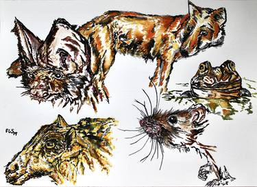 Original Illustration Animal Paintings by Freya Laetitia Stinton