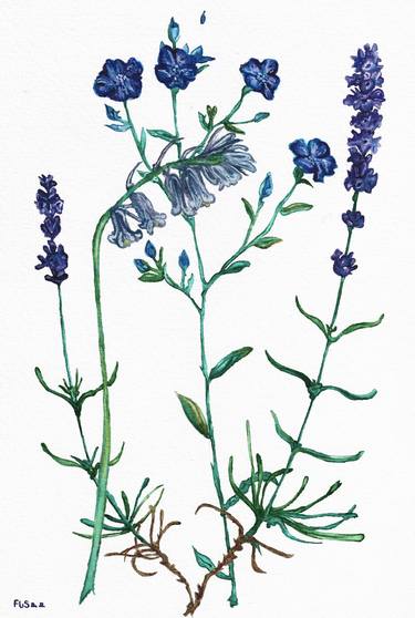 Original Botanic Paintings by Freya Laetitia Stinton