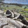 Sheep on a Fell (Diptych) - detail image #02