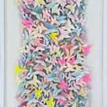 Collection New This Week 11-24-2025