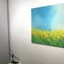 On a white wall