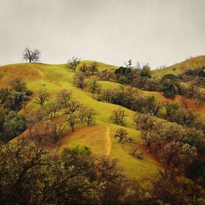 Collection California landscapes + nature