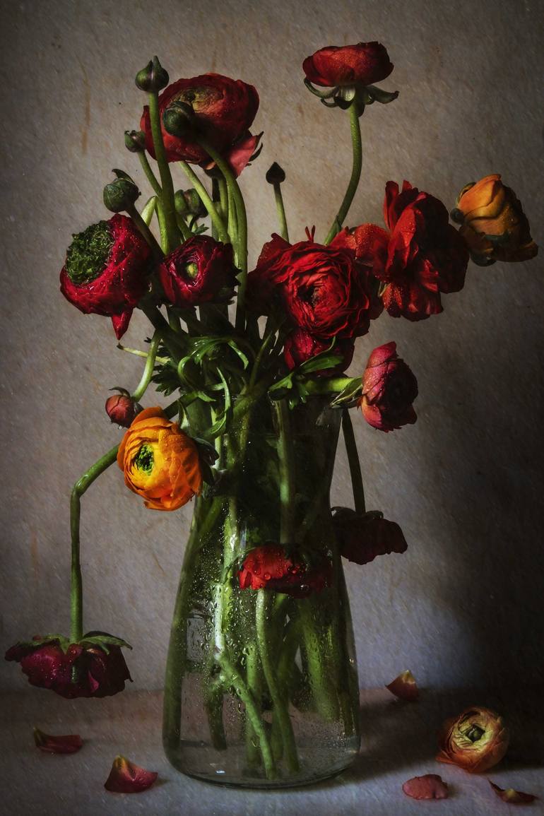 Ranunculus - Limited Edition of 15
