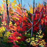 Autumn Thicket by Alison Philpotts