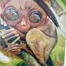 Friendly tarsier