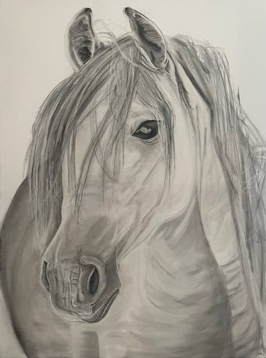 Original Realism Animal Drawings by Cory Ciona