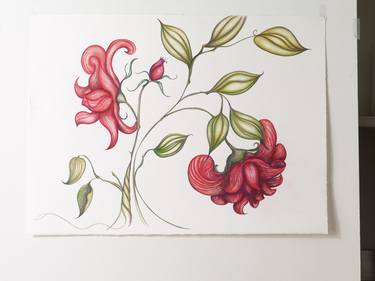 Original Botanic Drawing by christine mottau