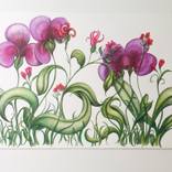 Iris Garden by christine mottau