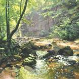 Morning Light on the Sumène by ANNE BAUDEQUIN