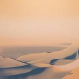 Pantone Color of the Year: Peach Fuzz thumb