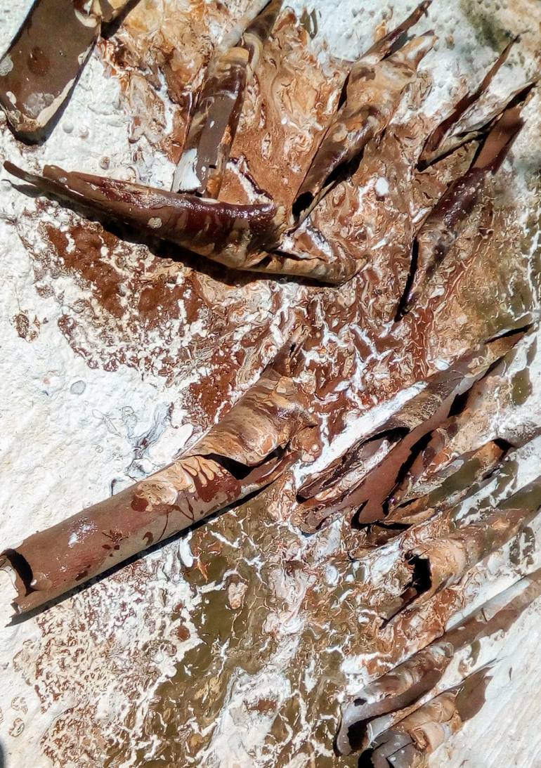 Original Abstract Nature Painting by Riccardo Chianella