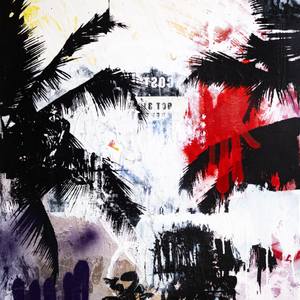 Weekend Light Palms #3