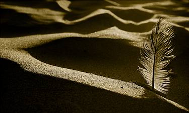 Sand and feather. From the series Celebrating Nature Limited edition, 1/30 thumb