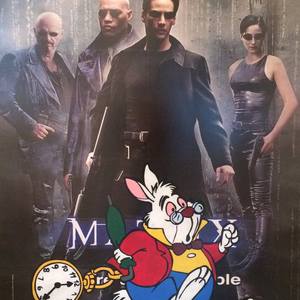 Follow the White Rabbit