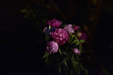 Original Floral Photography by Cherie Steinberg