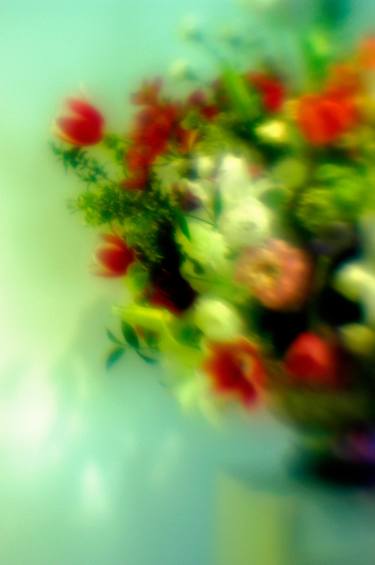 Original Abstract Expressionism Floral Photography by Cherie Steinberg