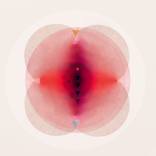 Collection Feminist Art Inspired by Judy Chicago