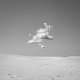 Collection Cinco de Mayo: Spotlight on Mexican Artists