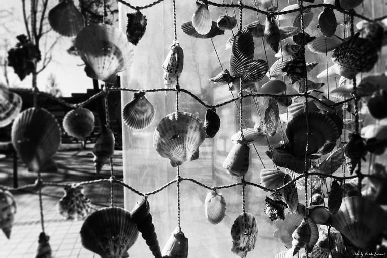 Print of Photorealism Nature Photography by Nickolai Rozengauz