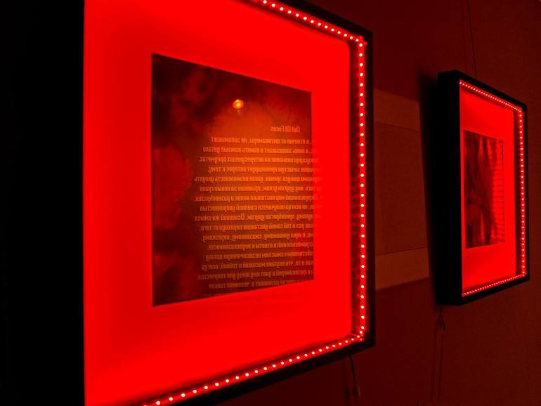 Original Photorealism Botanic Photography by Nickolai Rozengauz