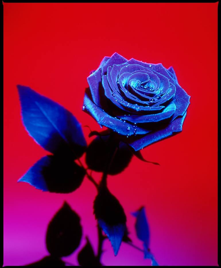 Print of Photorealism Botanic Photography by Nickolai Rozengauz