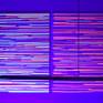 Blacklight stripes! room