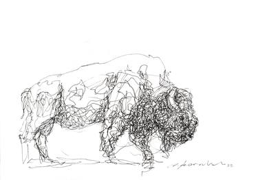 Original Contemporary Animal Drawings by Onur Karaalioglu